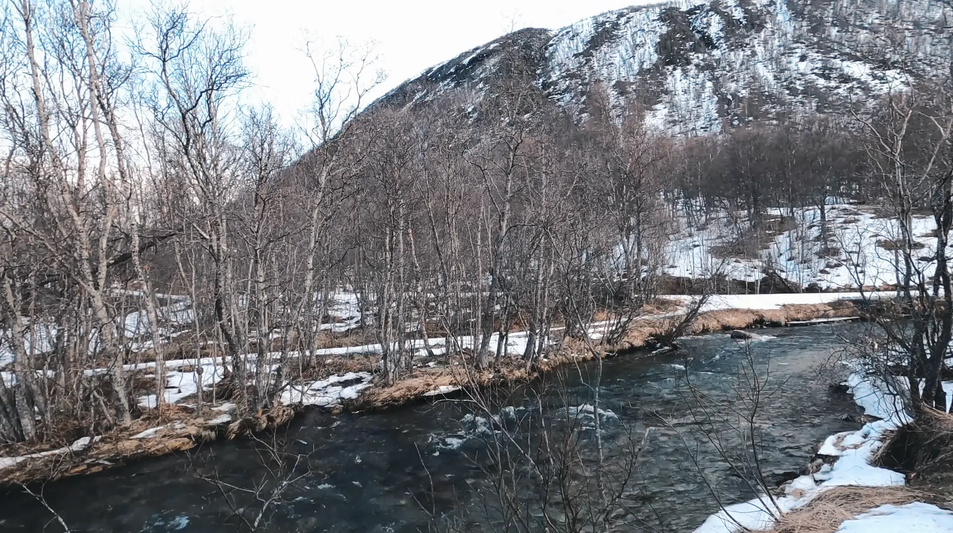 Tromsø Lodge & Camping